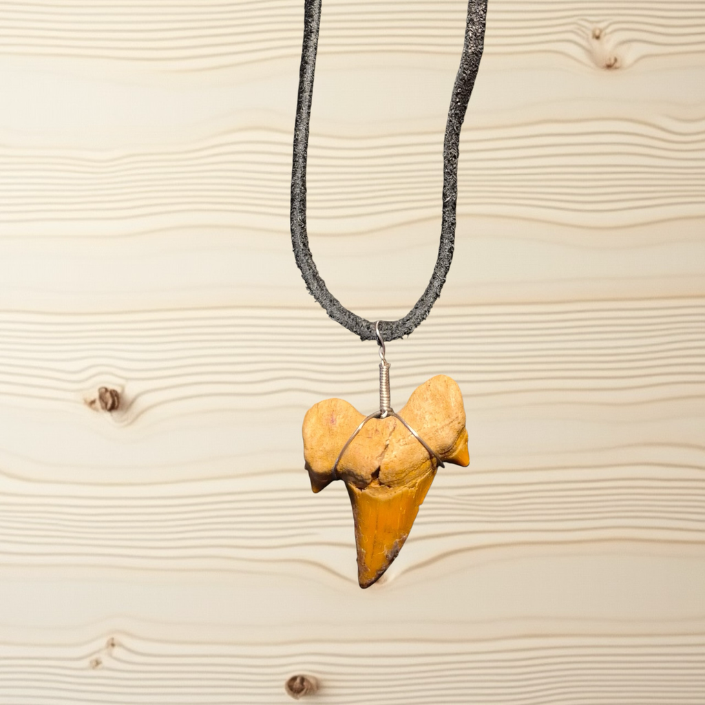Heartfelt Creations fossilized shark tooth pendant necklace in ochre, wrapped in silver-tone wire on a dark cord.