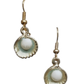 A pair of gold-toned dangle earrings featuring a scallop-shaped shell with a glossy iridescent green and white glaze, hanging from gold fishhook wires against a plain white background.