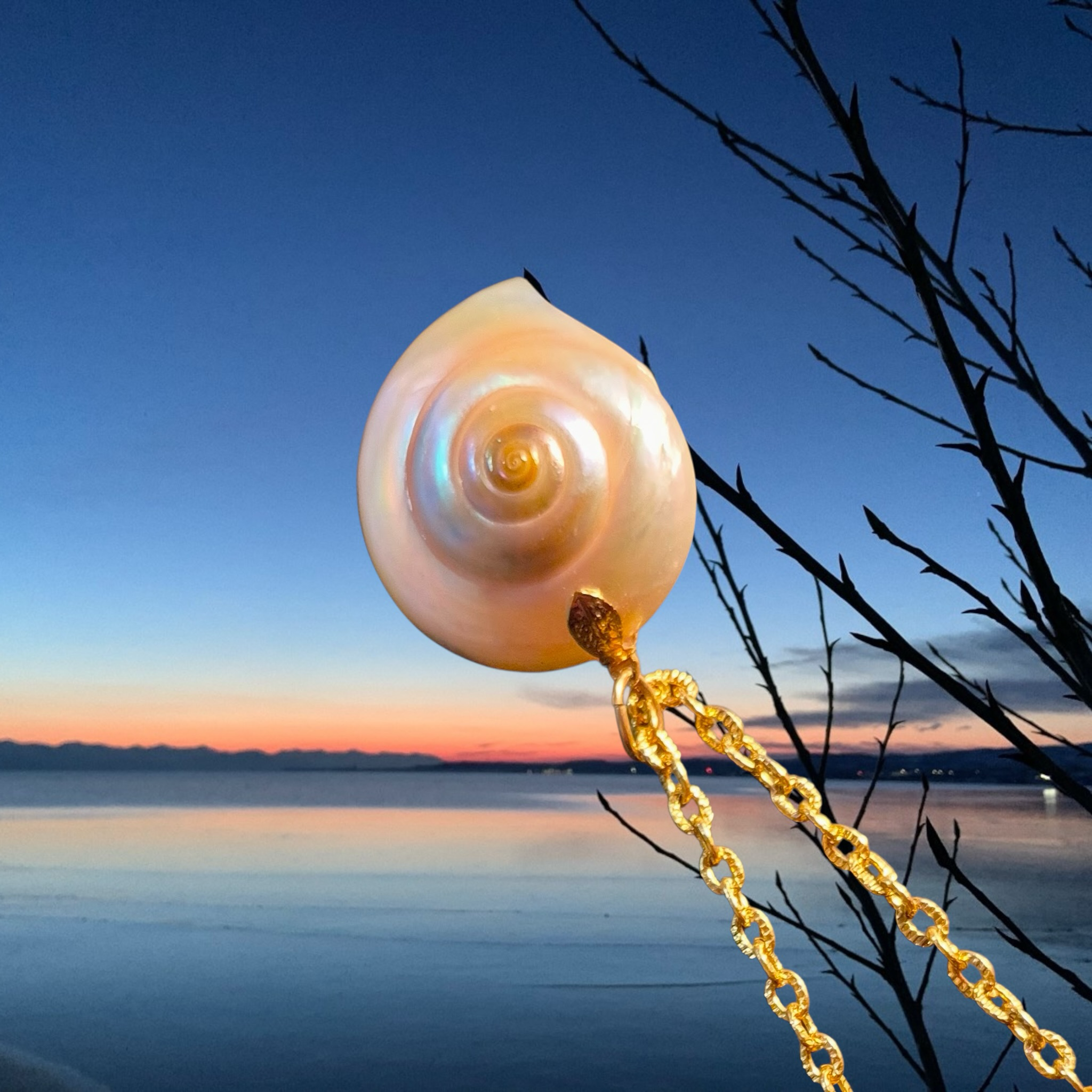 Heartfelt Creations Ocean Swirl Shell Pendant Necklace with gold chain, iridescent shell with spiral design.