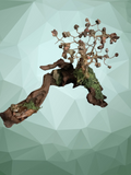Natural Driftwood Crystal Tree Sculpture